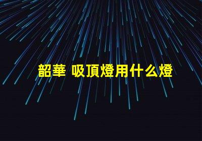 韶華 吸頂燈用什么燈珠